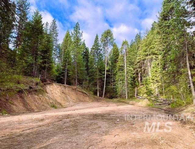 View of dirt / gravel road with a wooded view