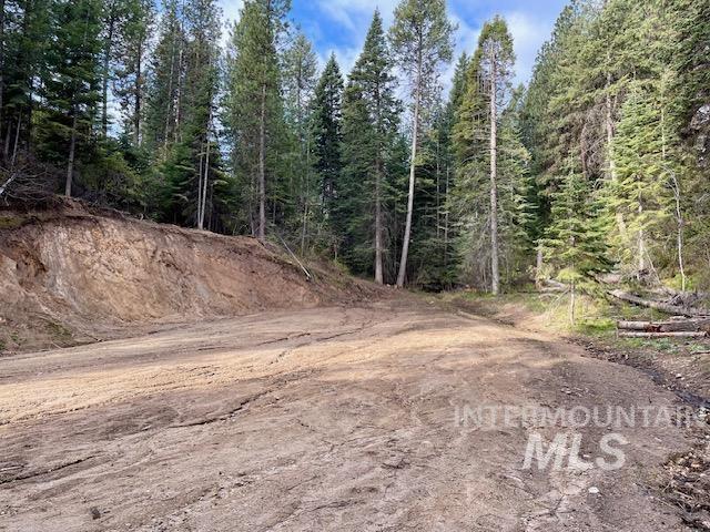 View of dirt / gravel road with a wooded view