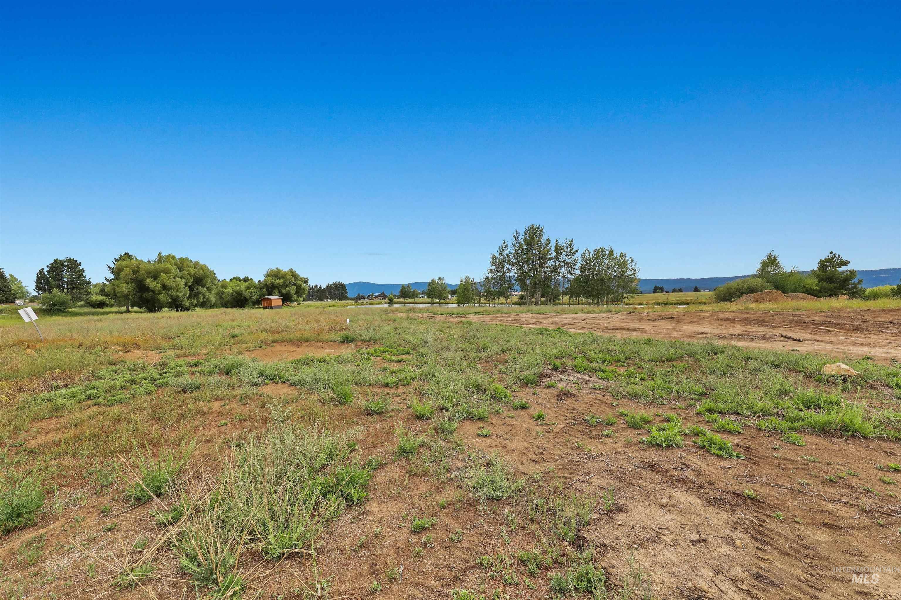 View of yard with a view of rural / pastoral area