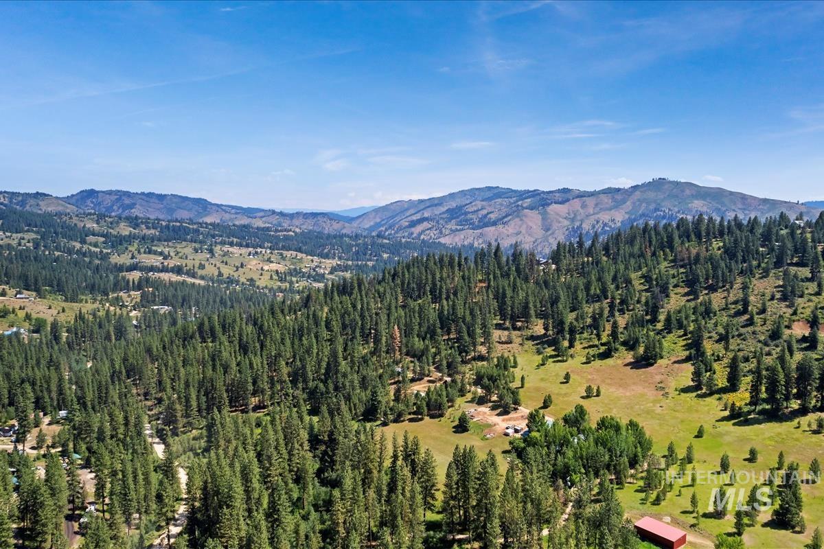 Bird's eye view of mountains and a forest