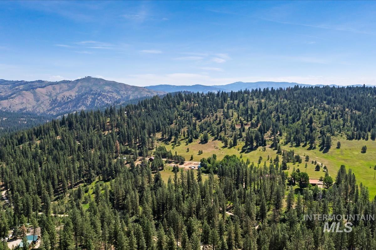 Bird's eye view of a heavily wooded area and a mountain backdrop
