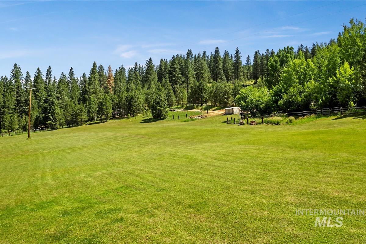 View of yard with view of scattered trees