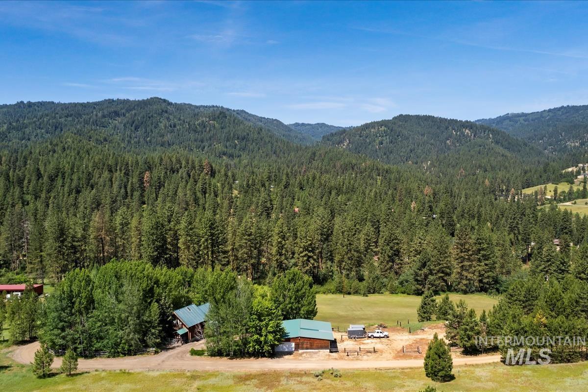 Drone / aerial view of mountains and a forest