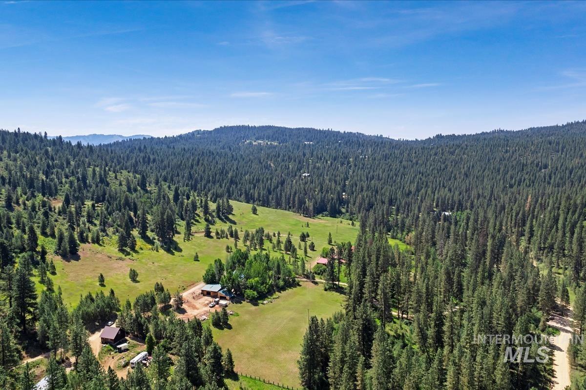 Bird's eye view of a heavily wooded area and a mountainous background