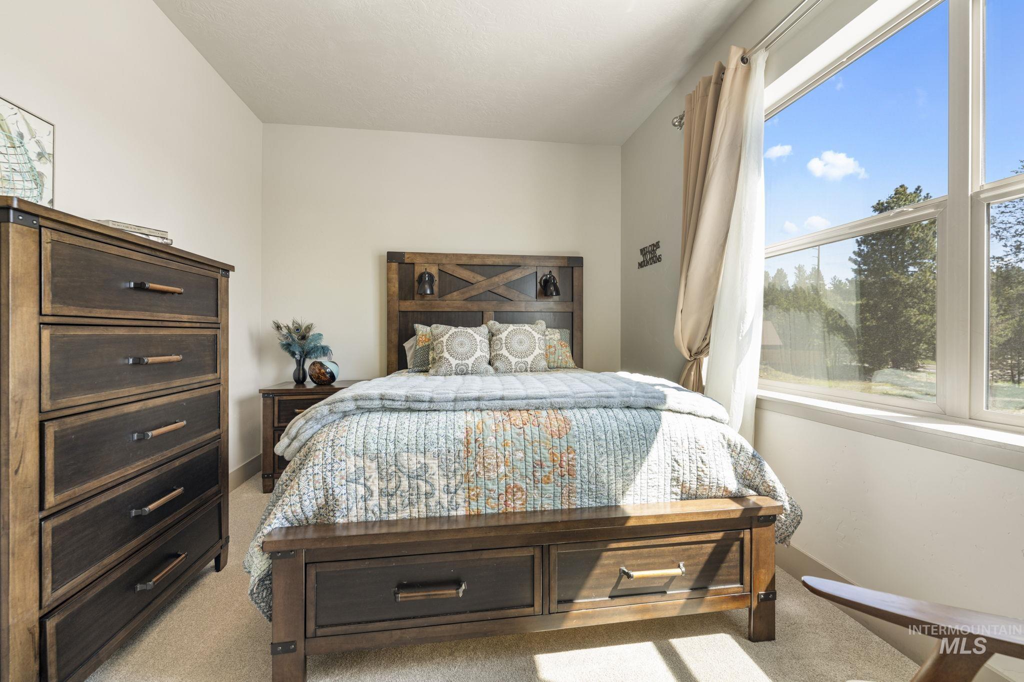 Light-filled bedroom featuring a large picture window, neutral wall paint, and soft carpet flooring