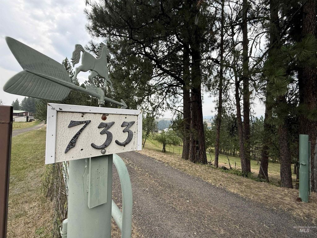 Photo of 733 Pleasant Valley Road, Stites, ID 83552 (MLS # 98995268)