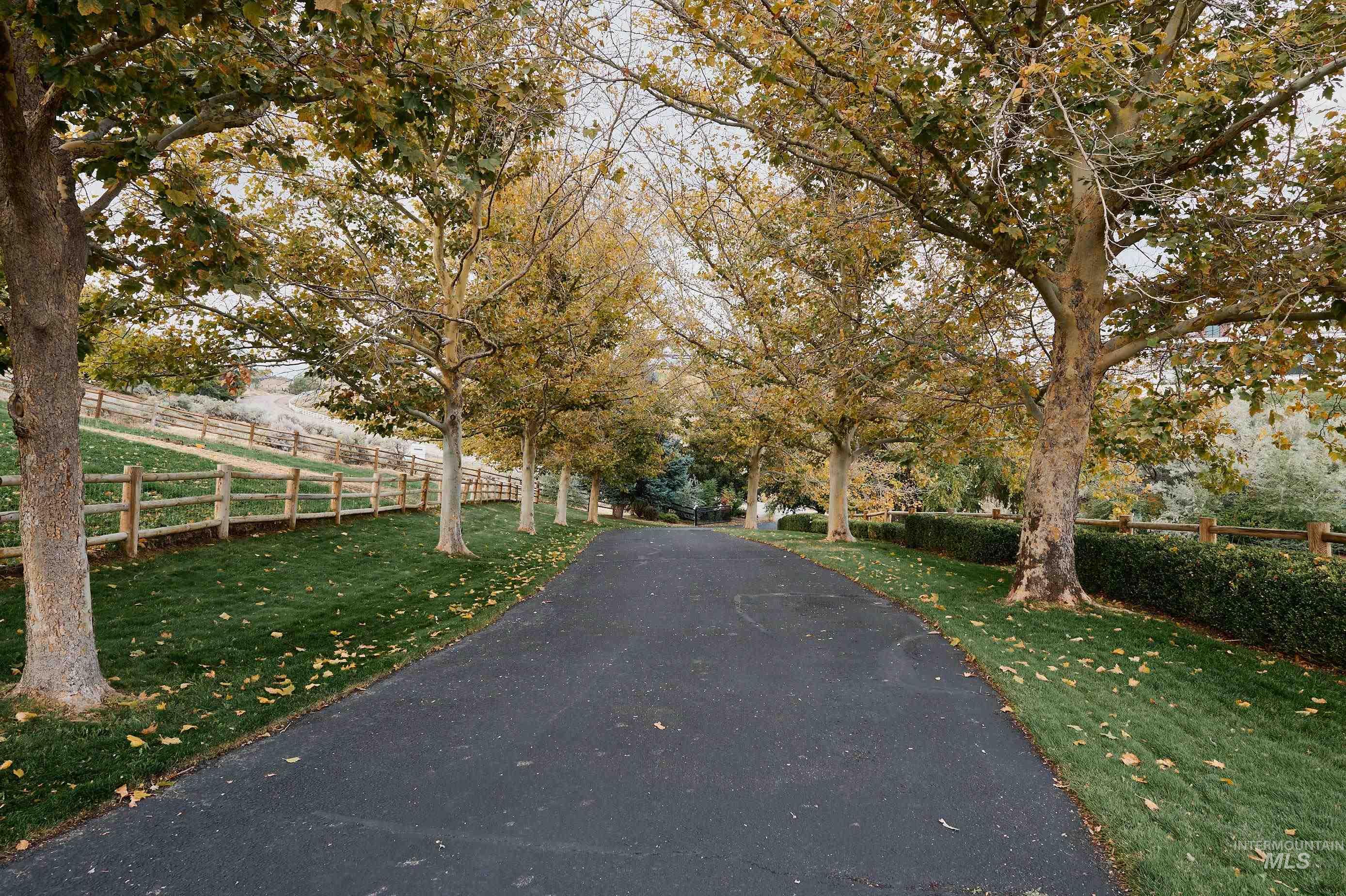 View of asphalt road