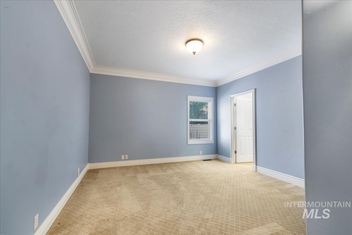 Empty room featuring ornamental molding, a textured ceiling, and light colored carpet