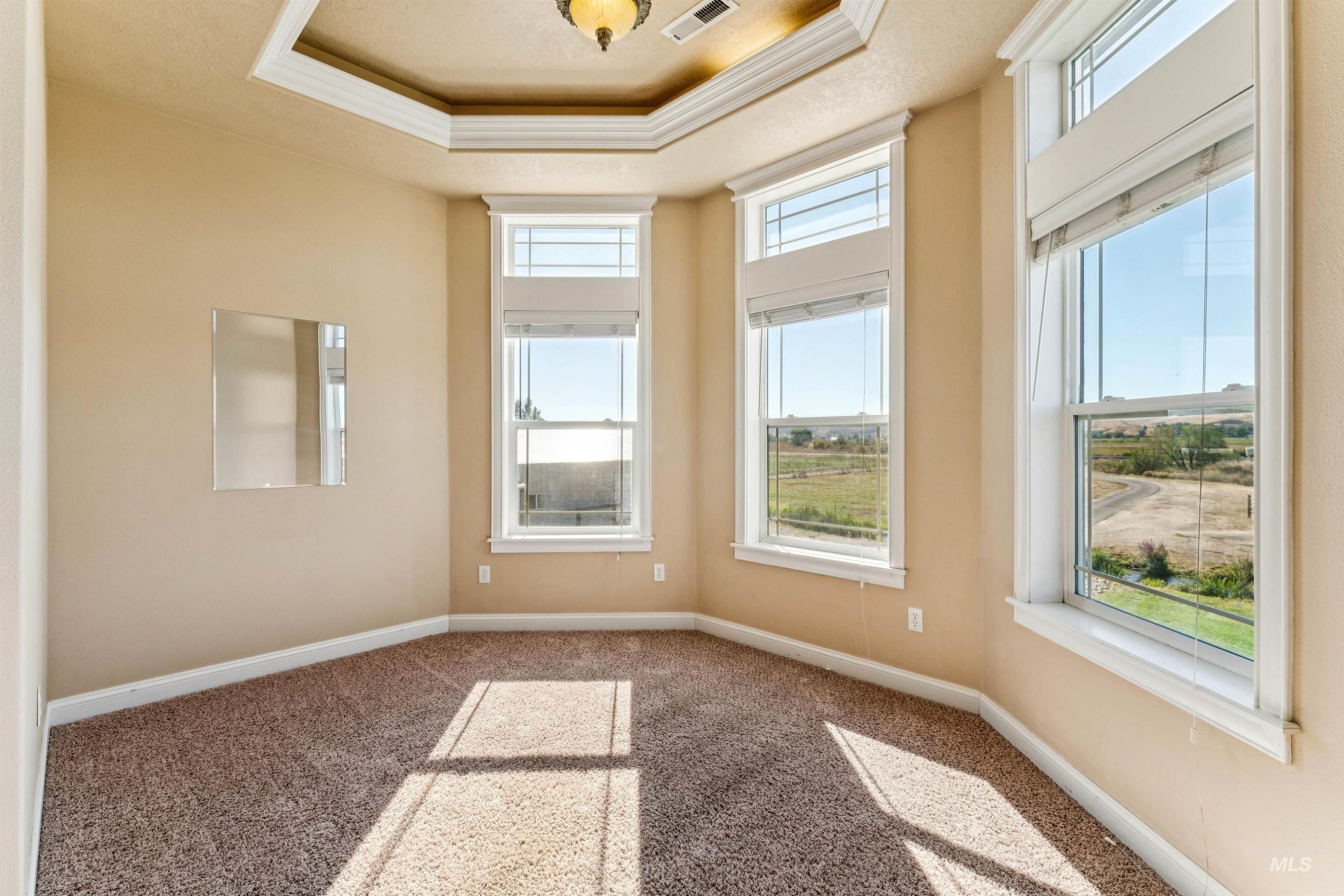 Carpeted spare room featuring a raised ceiling and crown molding