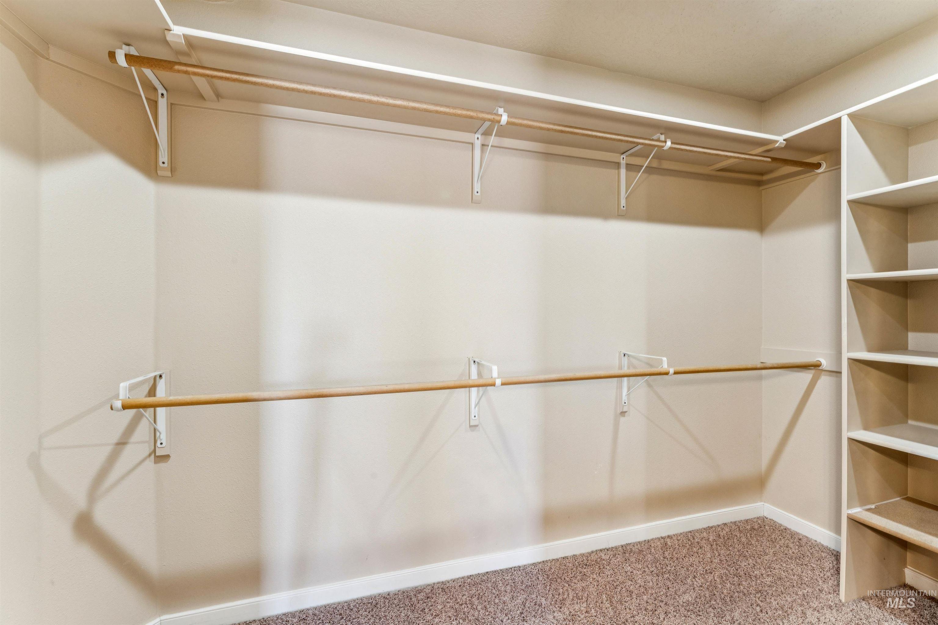 Spacious closet featuring light colored carpet