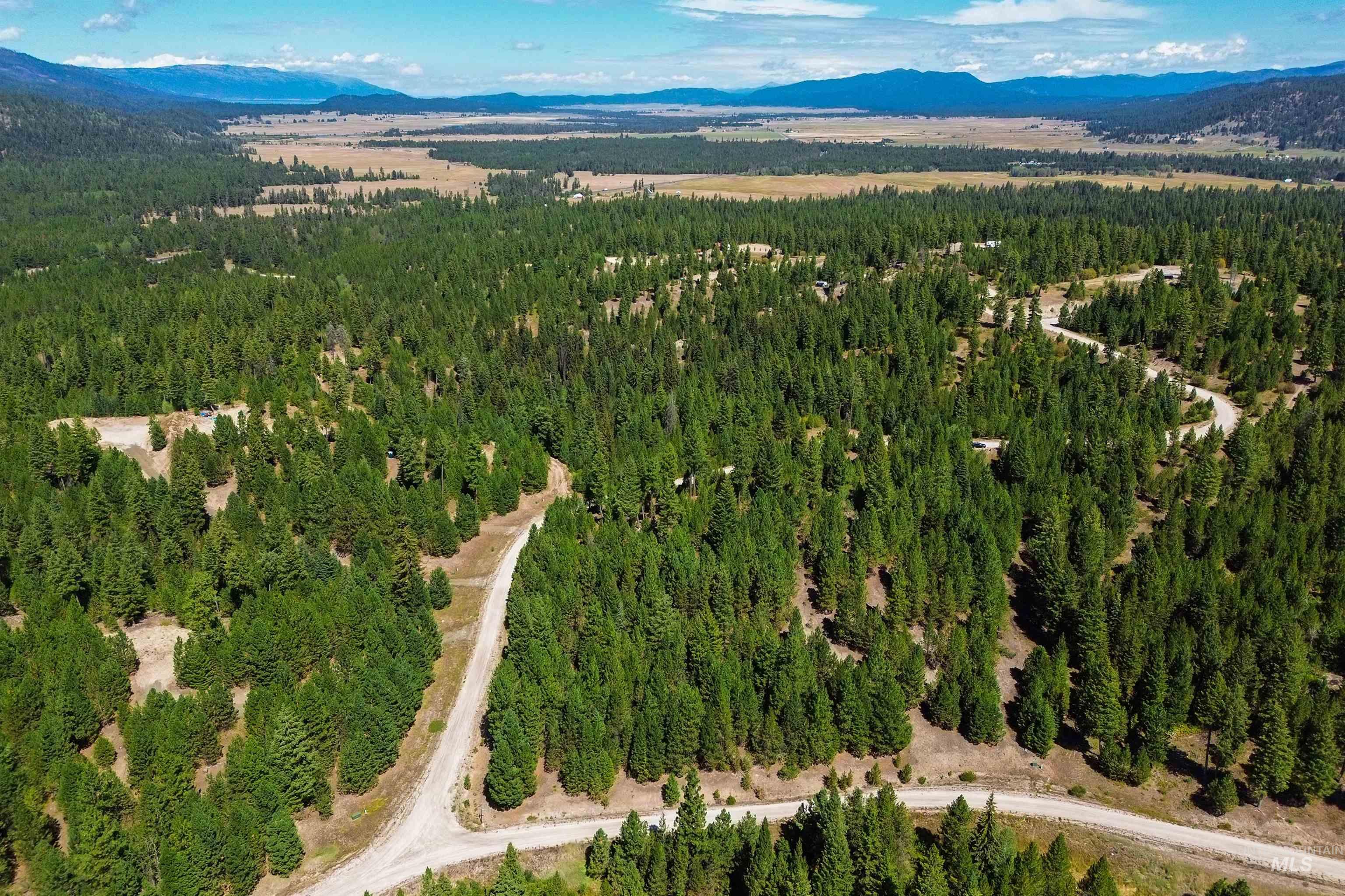 Bird's eye view of mountains and a heavily wooded area