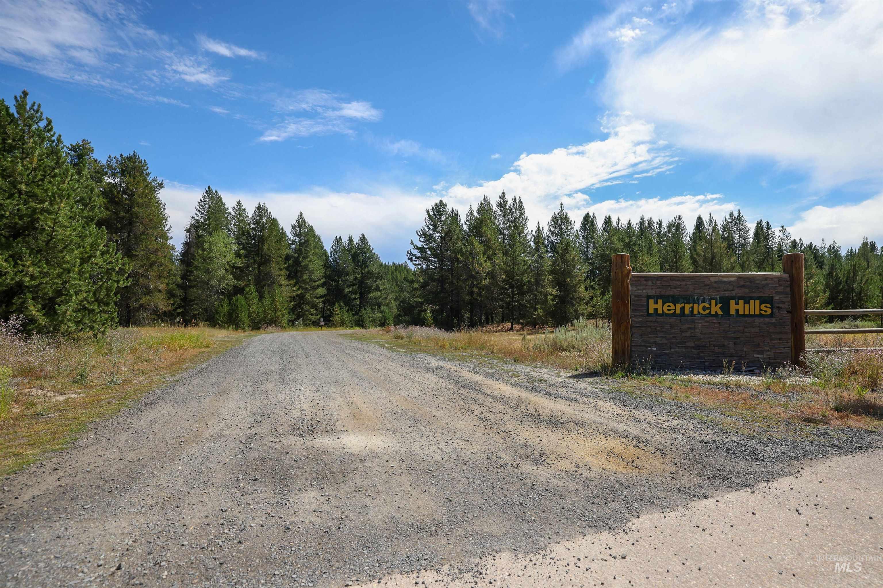 View of dirt / gravel road featuring a view of trees