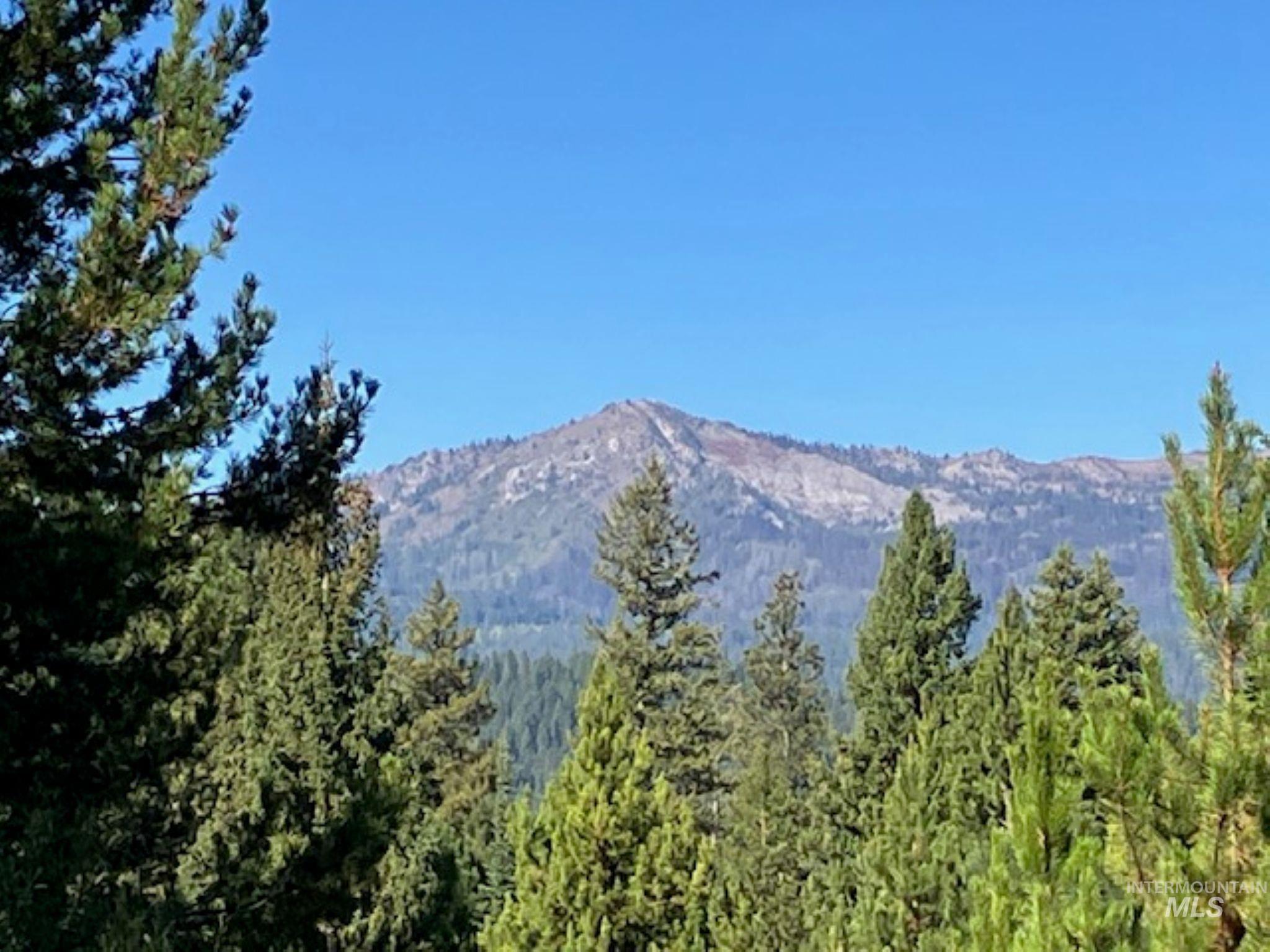 View of mountain background featuring a forest