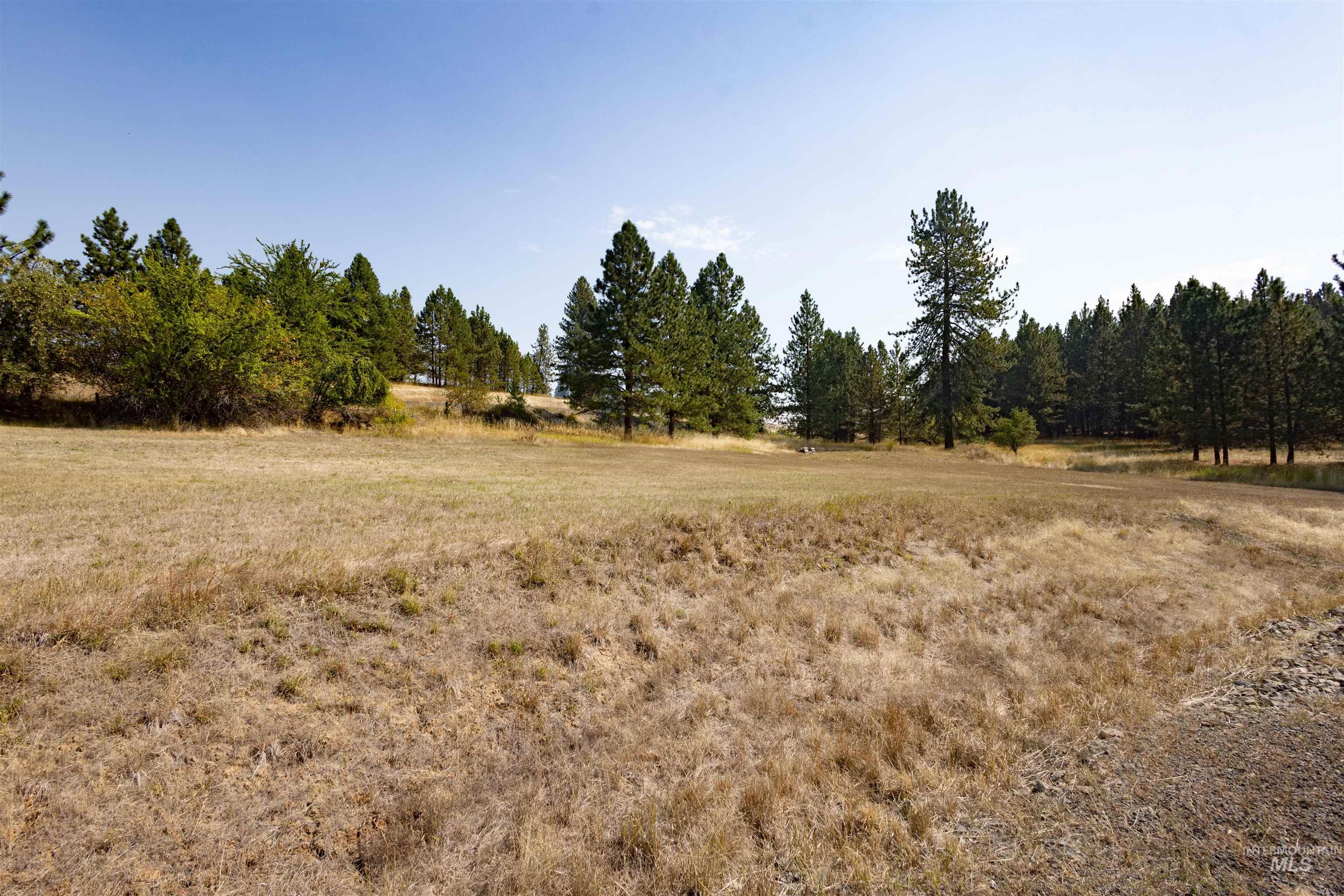 View of local wilderness with rural landscape