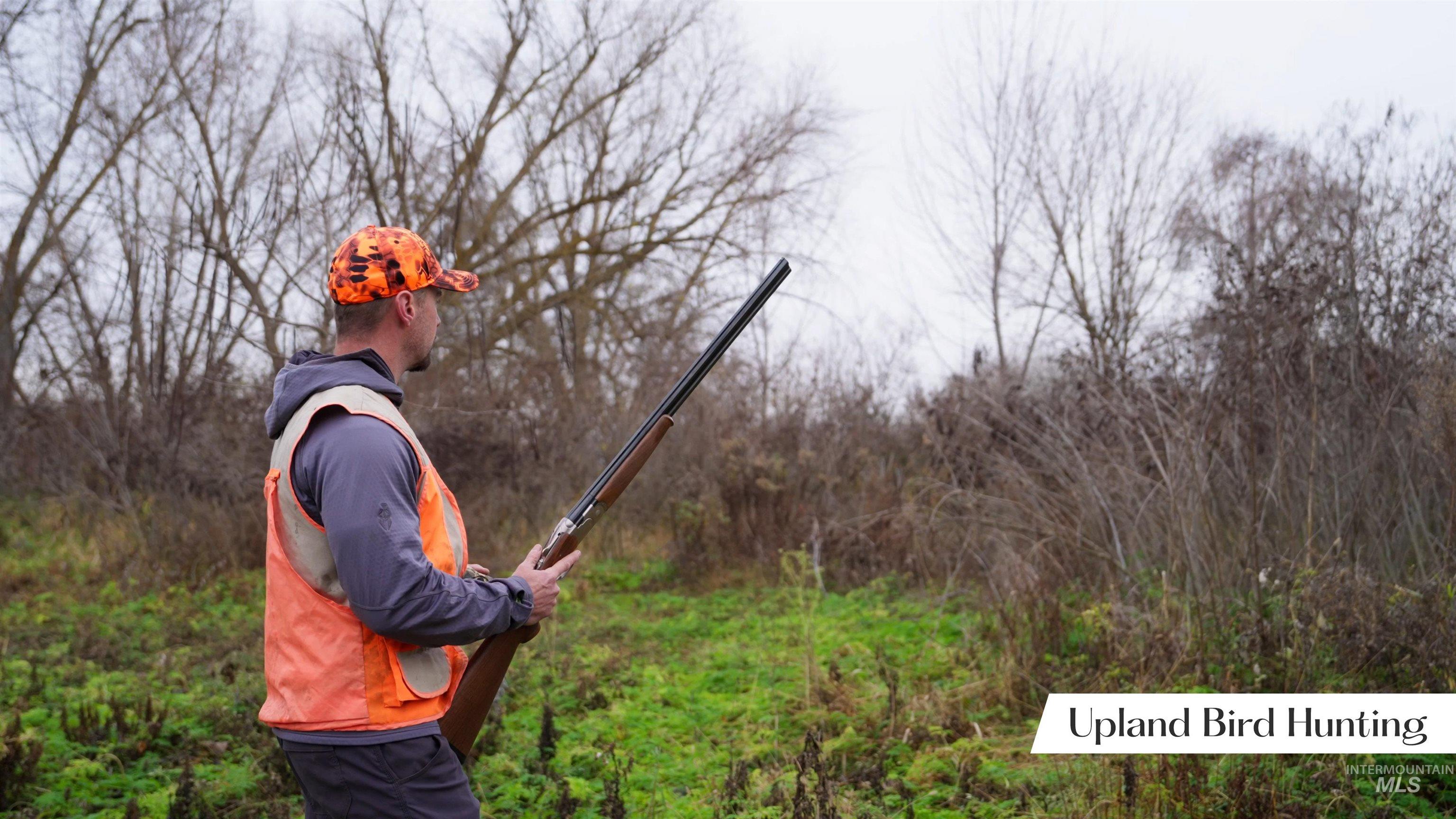 Exterior view of a forest