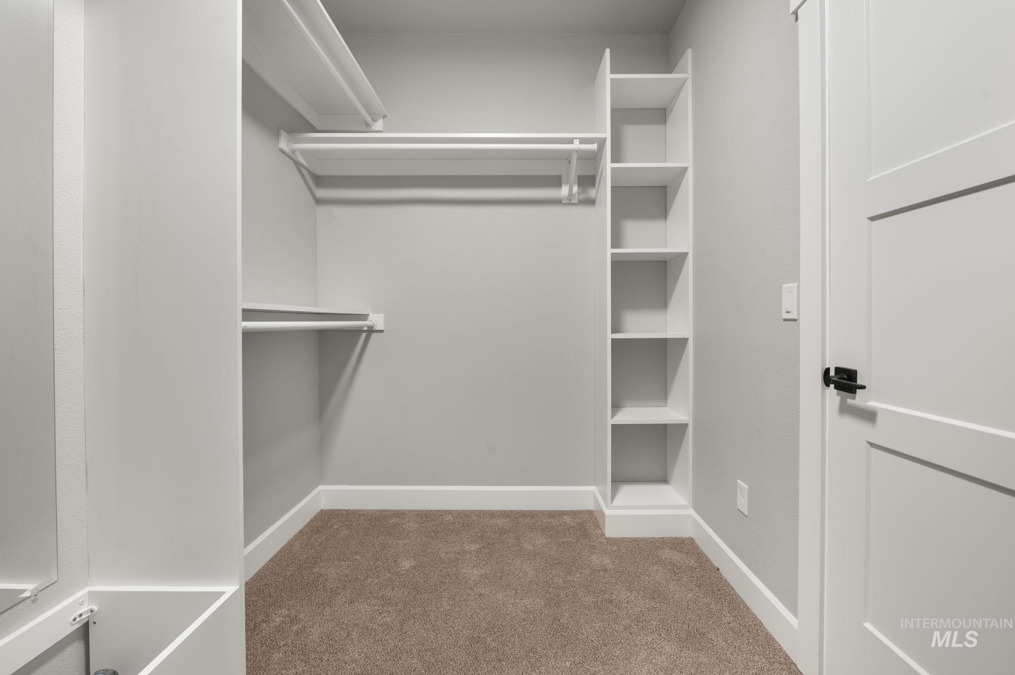 Spacious closet featuring light carpet