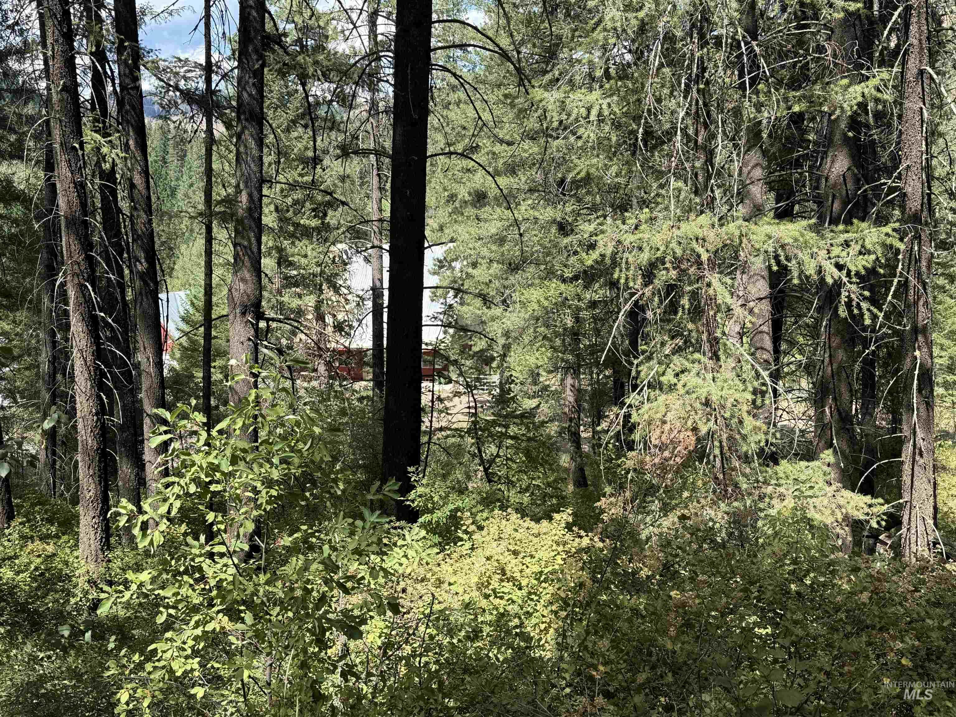 TBD Fruitvale-Glendale Rd