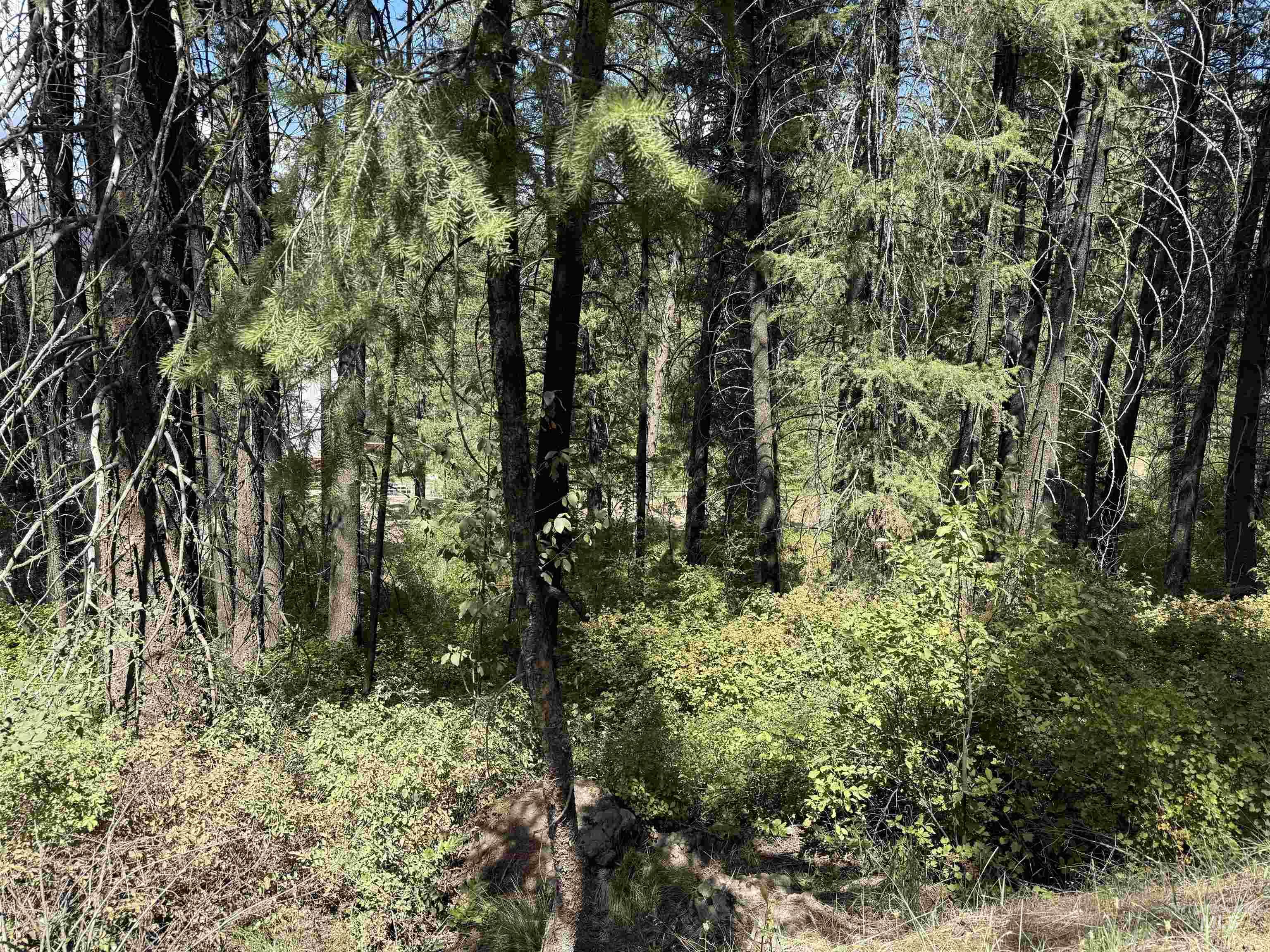 TBD Fruitvale-Glendale Rd