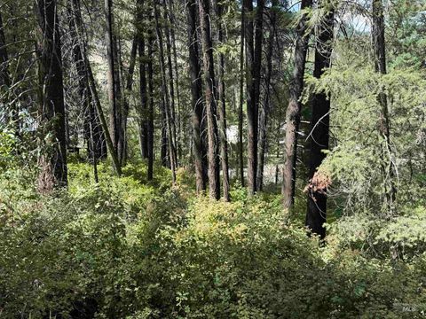 Photo of TBD Fruitvale-Glendale Rd, Council, ID 83612 (MLS # 98956261)