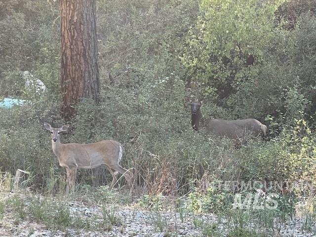 View of undeveloped land