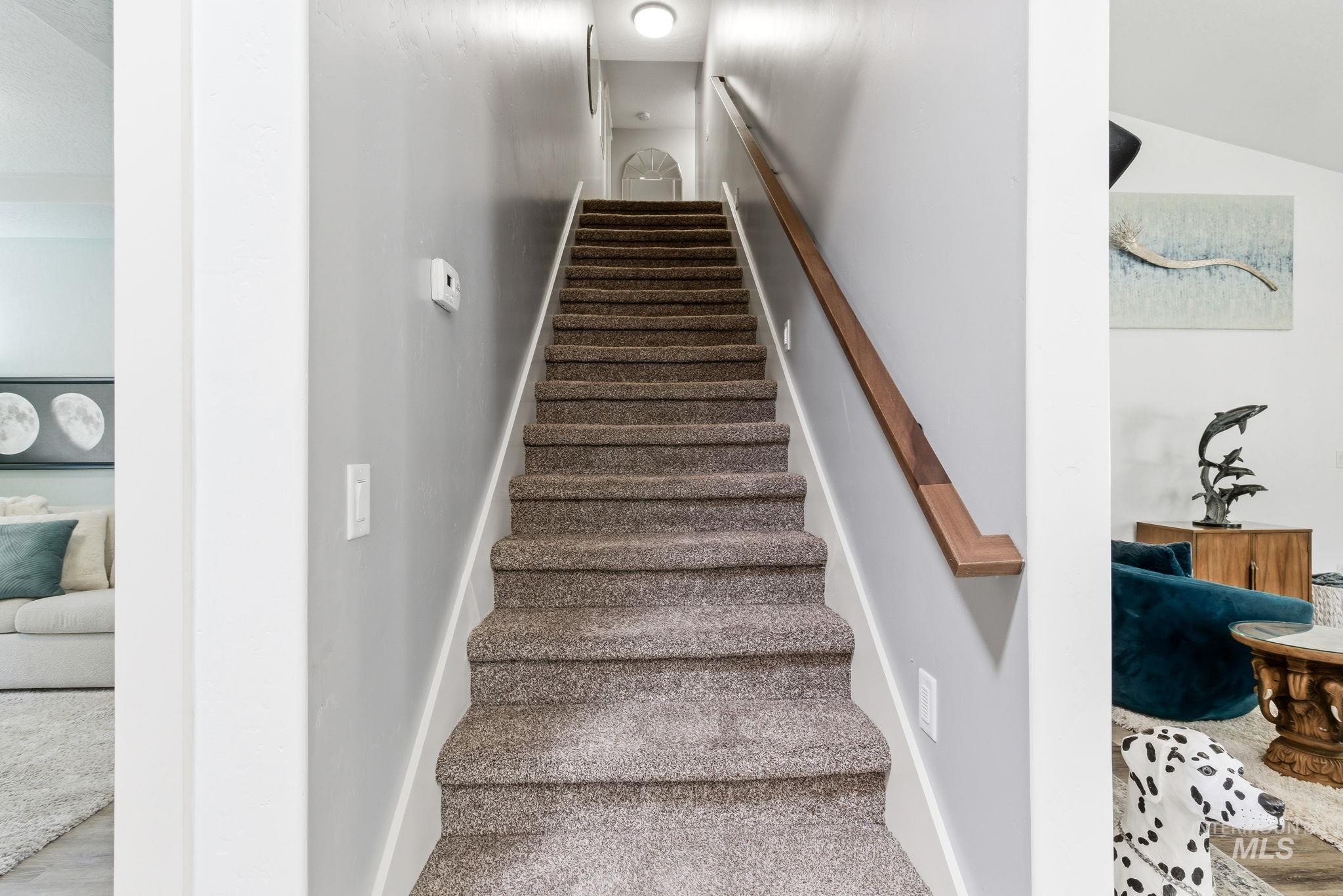 Carpeted staircase featuring a wood handrail, light gray wall paint, and white trim