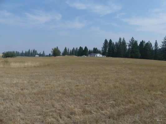 45 KIM PL, KAMIAH, ID 83536 - Image a410df41acbb6bc7b0b5b31279424fbc/3530439941