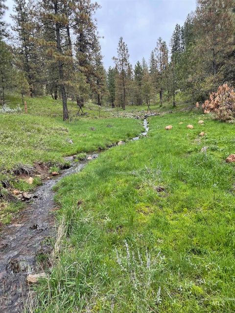 Photo of TBD Fruitvale Glendale Rd, Council, ID 83612 (MLS # 98990922)