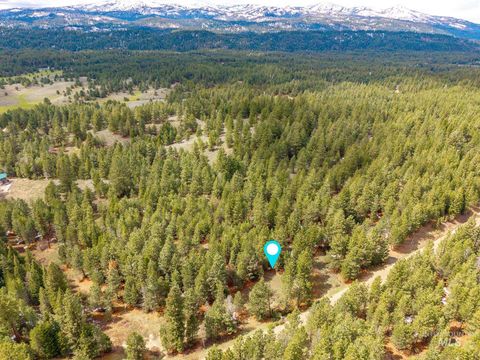 Photo of 27 Price Loop, Cascade, ID 83611 (MLS # 98981836)