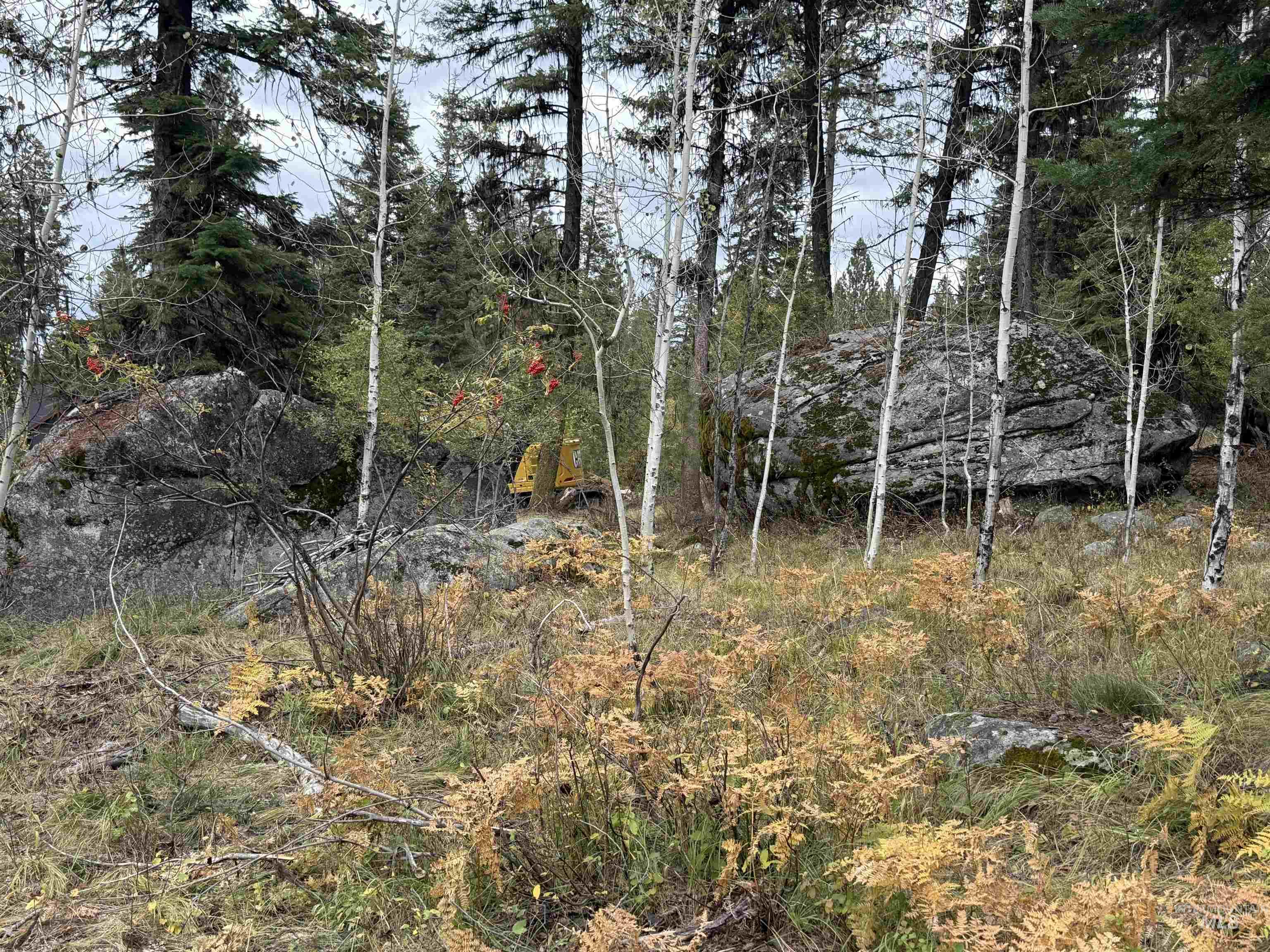 View of nature