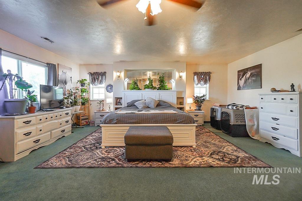 Bedroom with multiple windows, carpet flooring, and ceiling fan