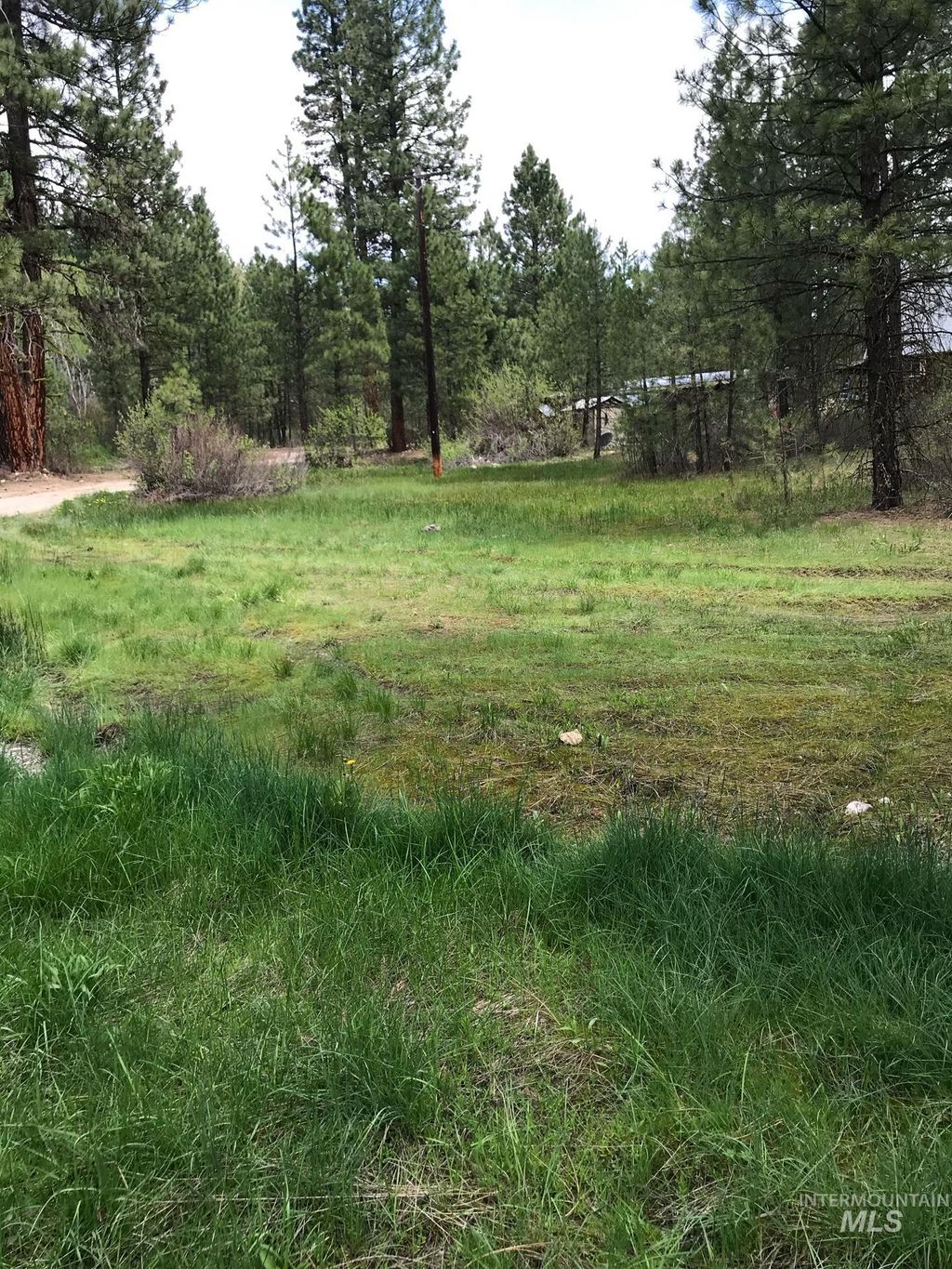 Photo of 12 Woods Ln, Idaho City, ID 83631 (MLS # 98954433)