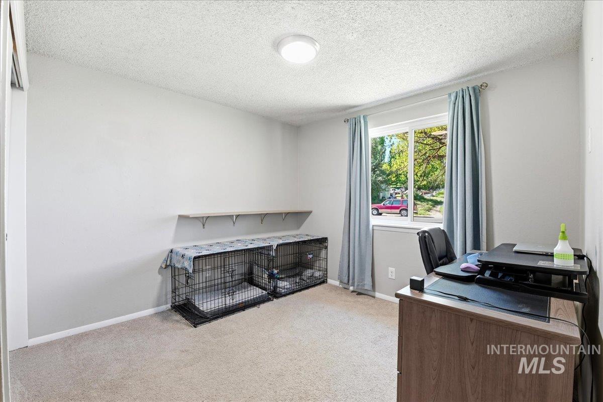 Light gray painted walls and neutral carpet create a versatile backdrop