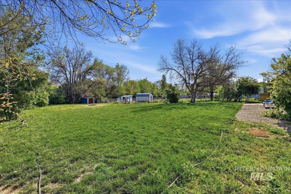 Expansive green lawn with mature trees
