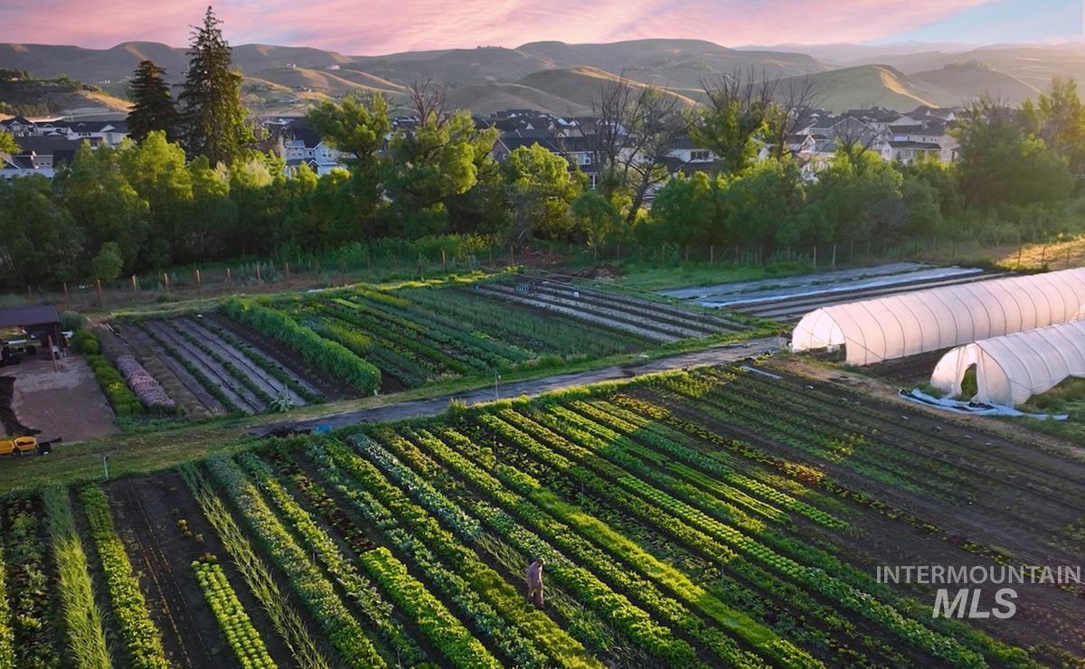 Aerial view at dusk of a mountain view and agricultural area