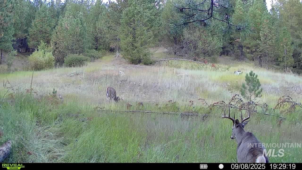 20.01 ac TBD Smith Ferry Dr