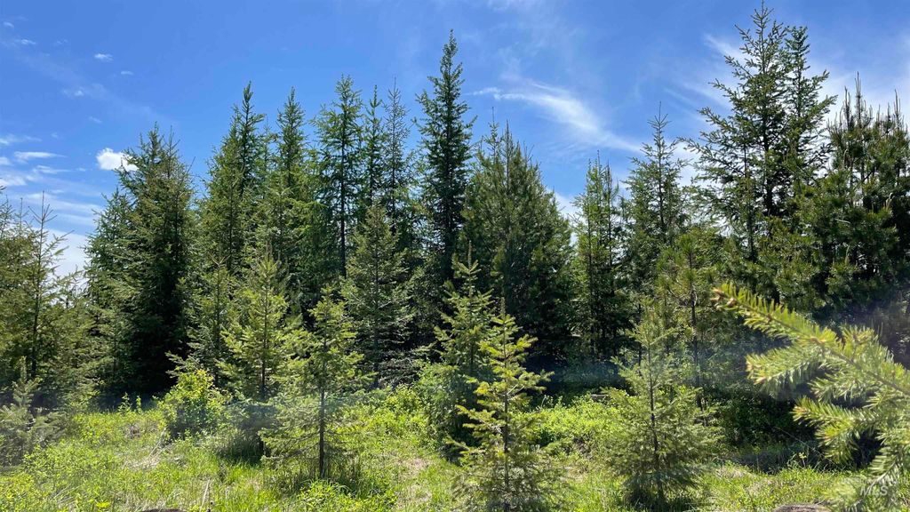 Photo of 8 Bandmill Heights, Orofino, ID 83544 (MLS # 98947706)