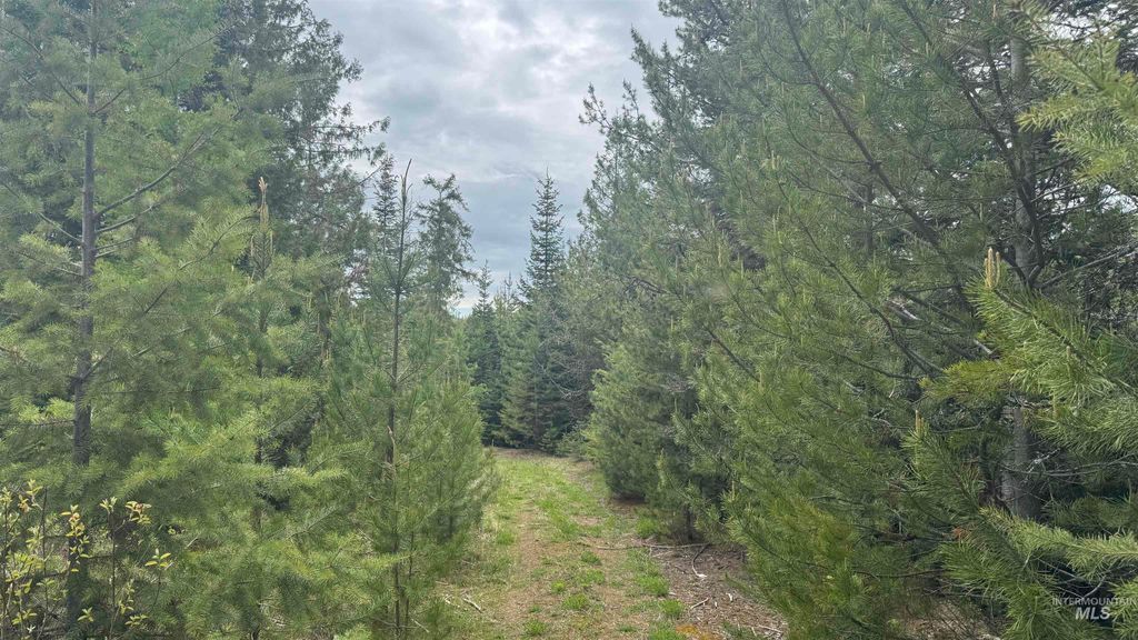 Photo of 8 Bandmill Heights, Orofino, ID 83544 (MLS # 98947706)