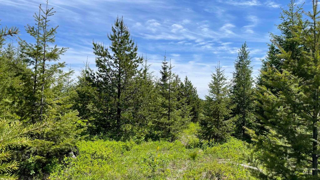 Photo of 8 Bandmill Heights, Orofino, ID 83544 (MLS # 98947706)