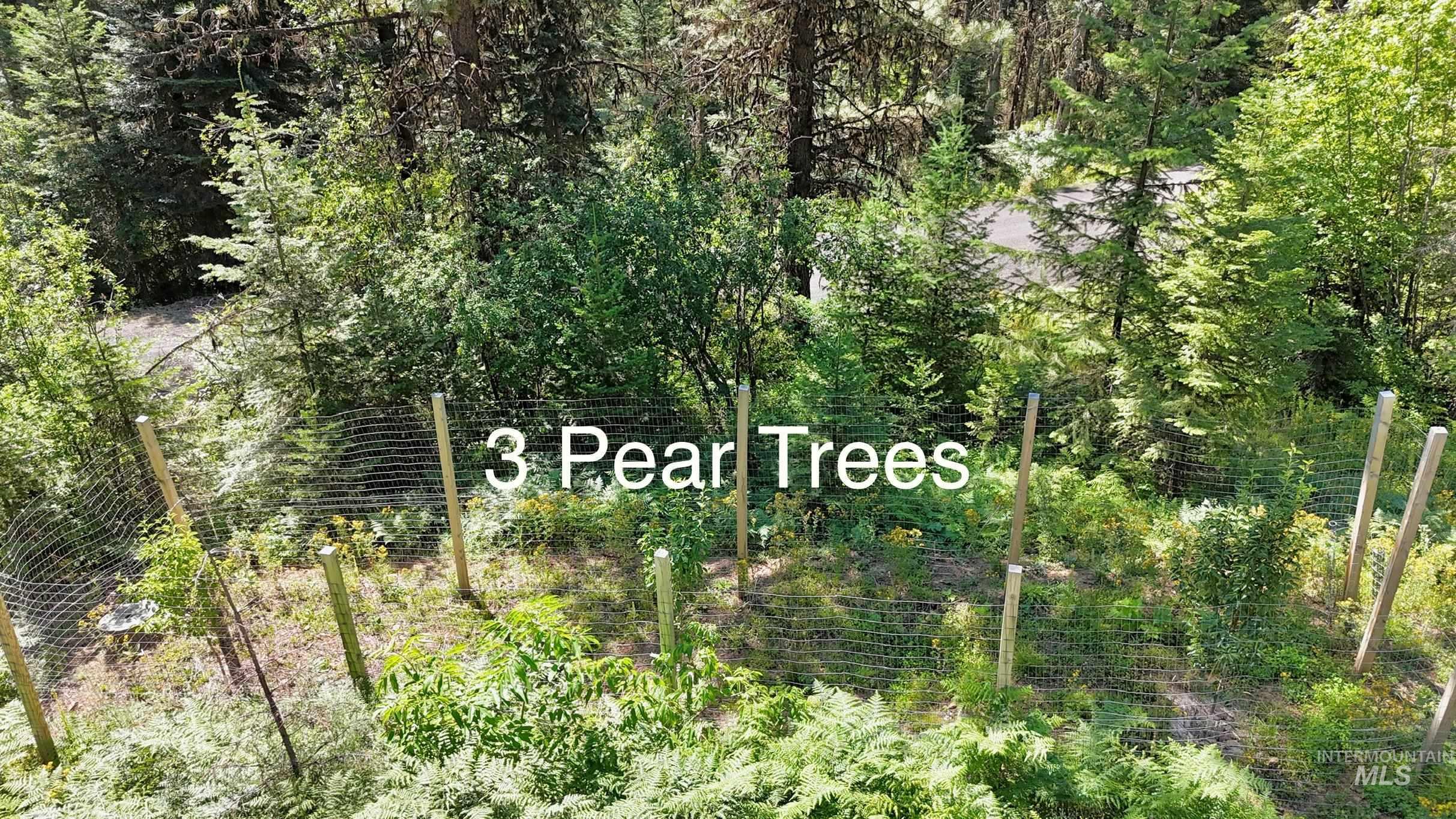 View of local wilderness