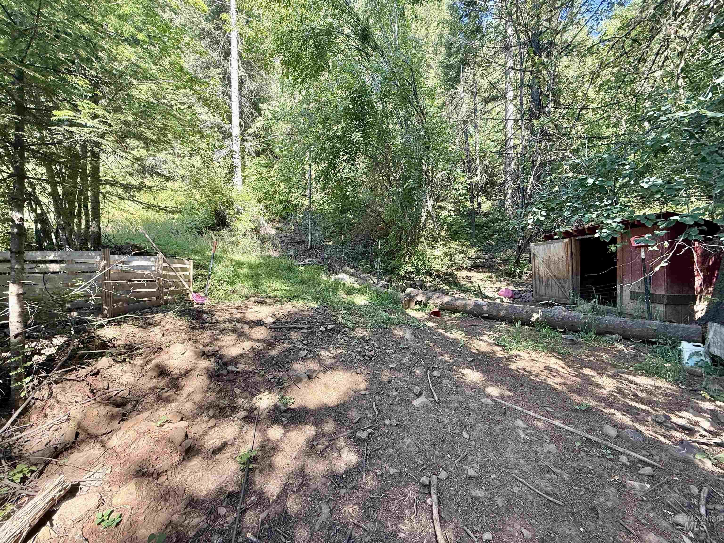 View of yard with a view of trees and an outdoor structure