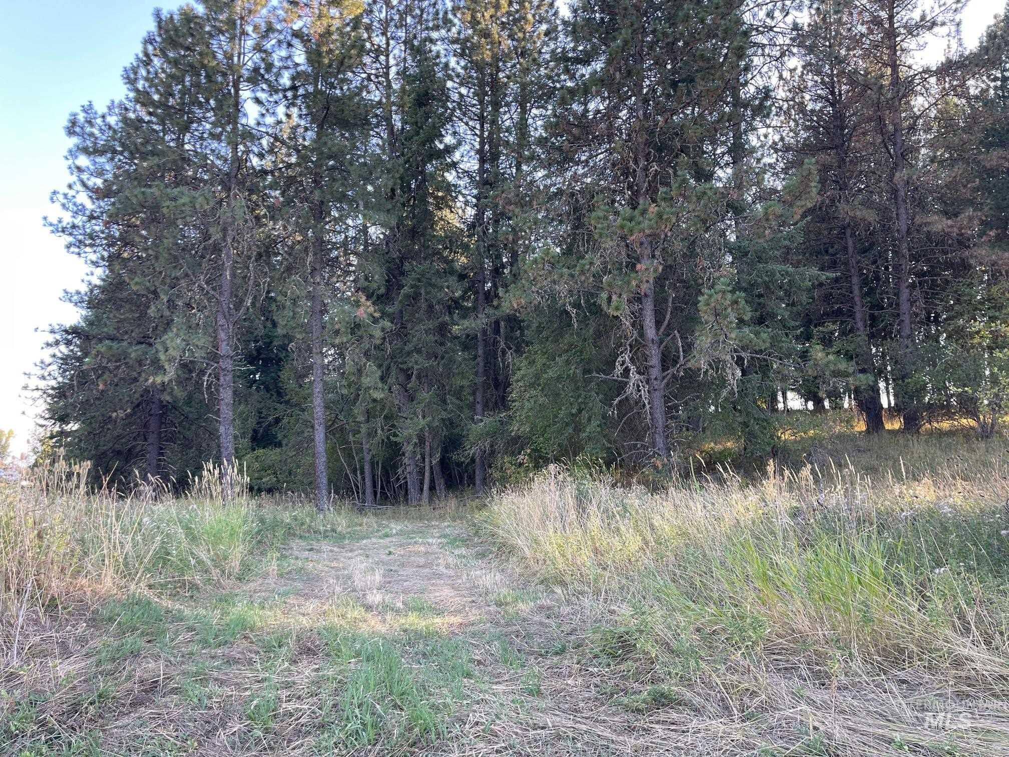 181 Harris Ridge Loop, Kooskia, Idaho image 44