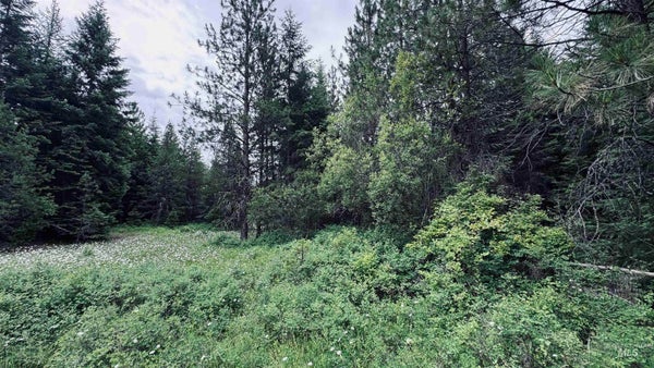 58 BUGLING ELK LN, WEIPPE, ID 83553 - Image a69b76a975a3f869beb06edee5d44aea/3241191312