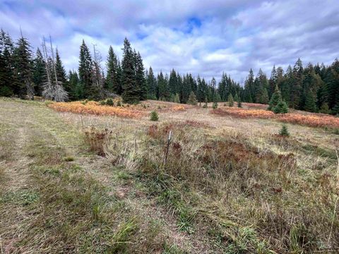 Photo of 3 Glenwood Road, Kamiah, ID 83536 (MLS # 98966025)