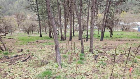 Photo of TBD May St Blk 56, Lot 8, Peck, ID 83545 (MLS # 98909305)