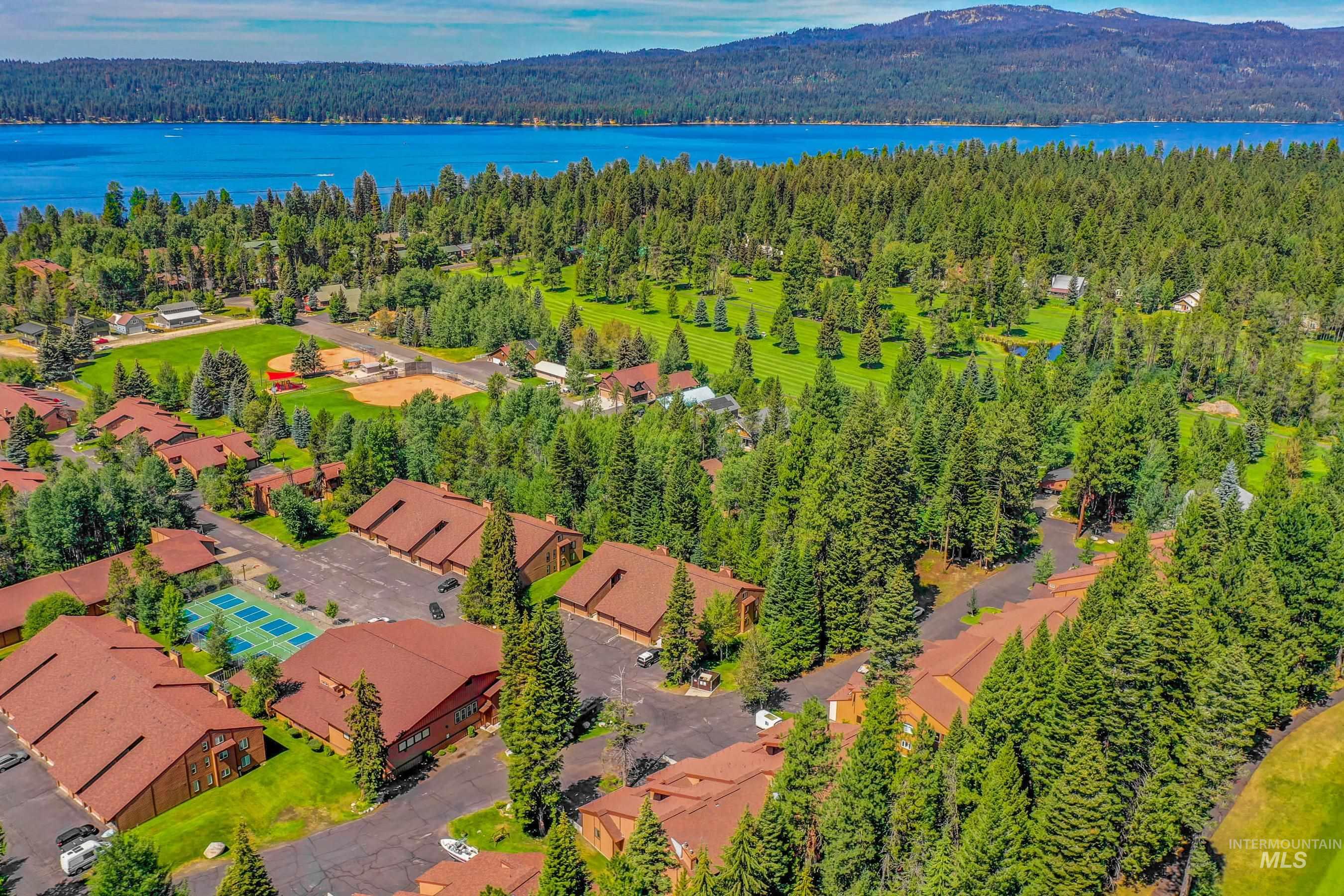 Aerial perspective showcasing a residential community surrounded by mature evergreen trees