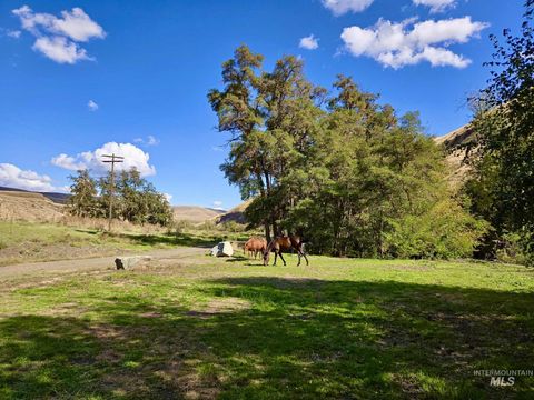 13761 Asotin Creek Rd Asotin WA 99402