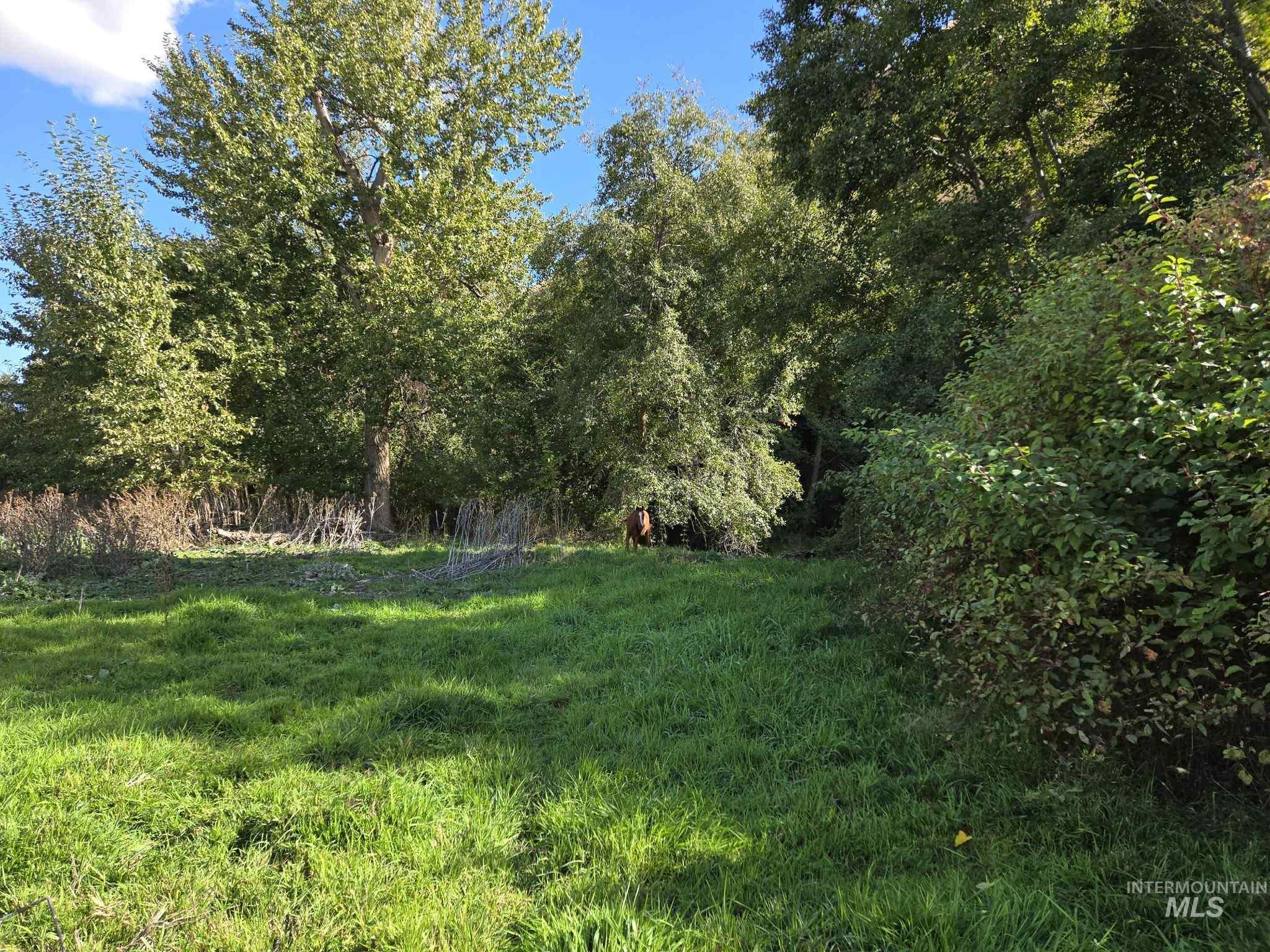 13761 Asotin Creek Rd