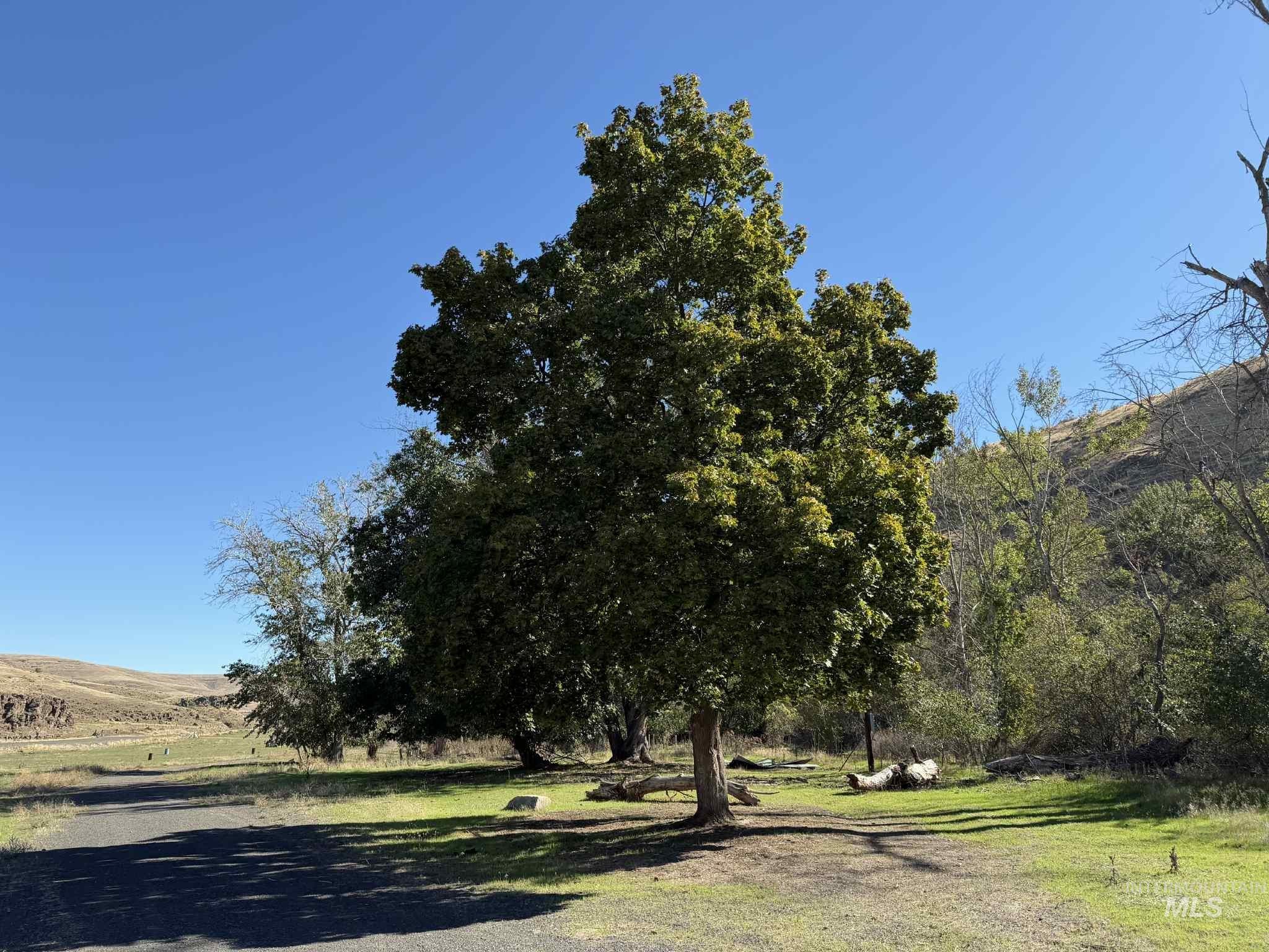 13761 Asotin Creek Rd