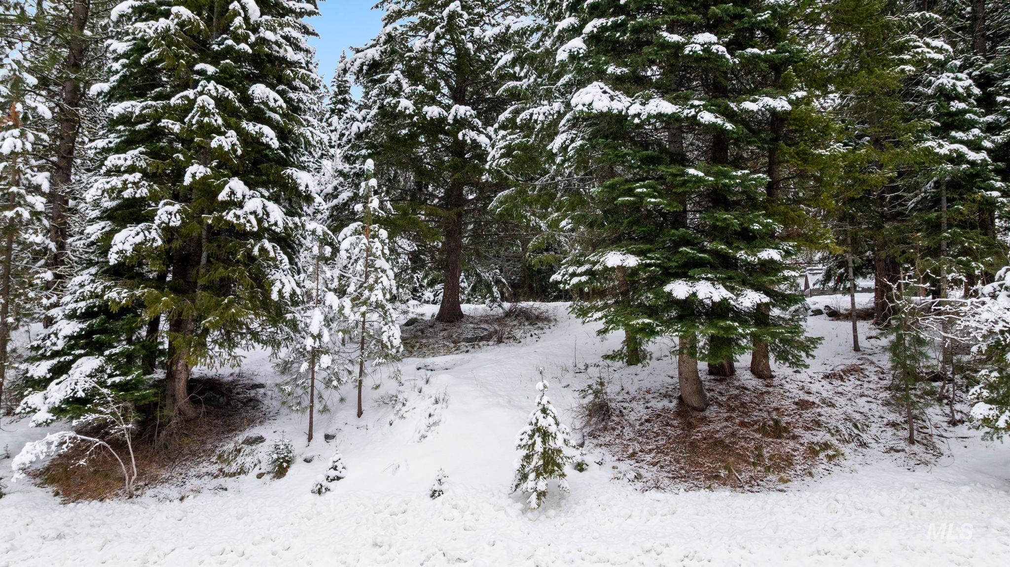 View of snow covered land