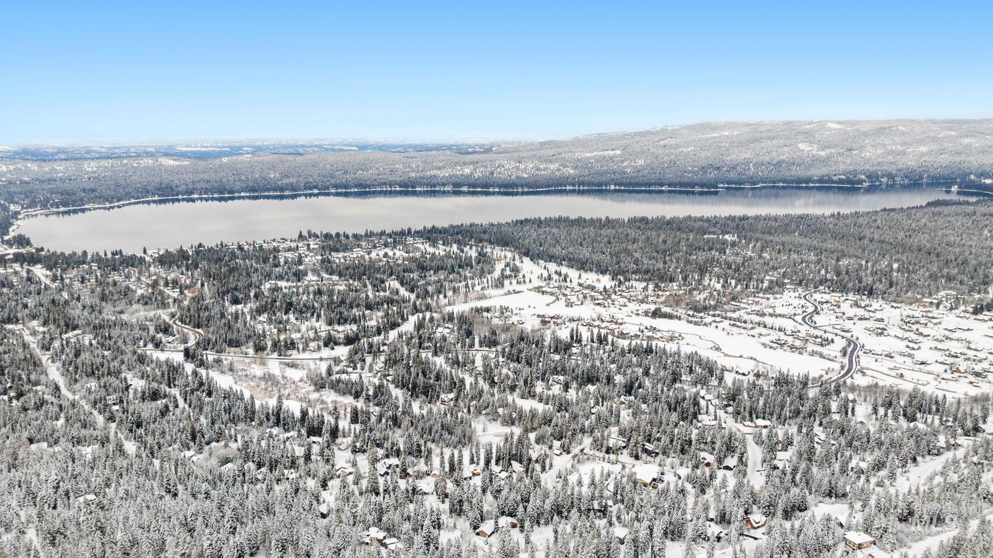 Aerial view of a forest and a mountain backdrop